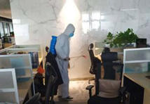 有害生物防治知識：專業(yè)指導(dǎo)家庭的預(yù)防措施